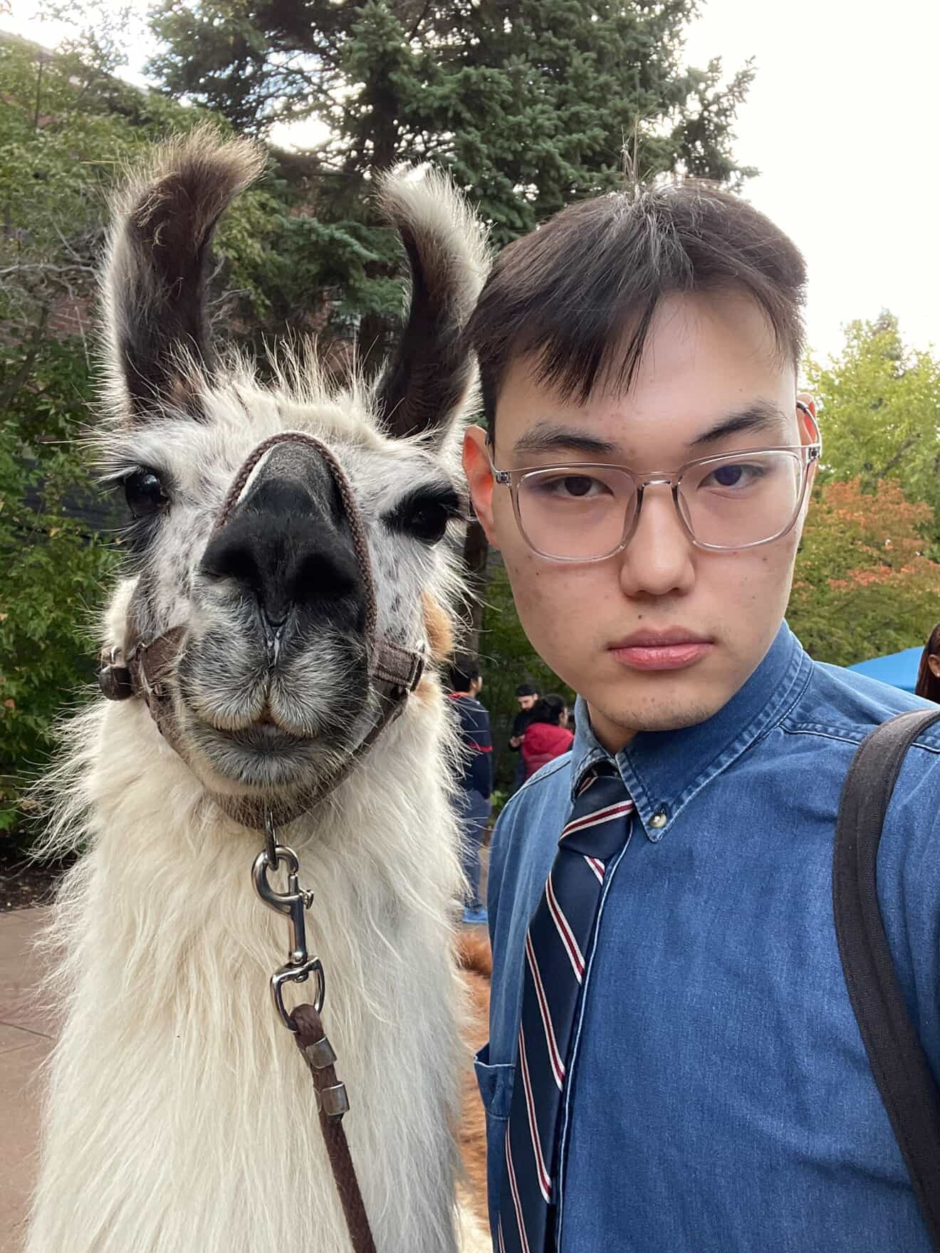 У. Бат-Энэрэлт